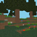 World Craft