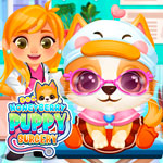 Doc HoneyBerry Puppy Surgery