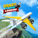 Crazy Plane landing