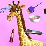 Animal Fashion Hair Salon