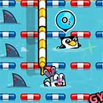 Pet Olympics