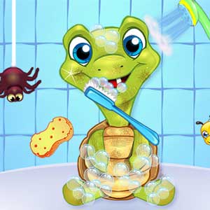 Pet Wash