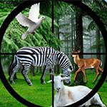 Real Jungle Animals Hunting