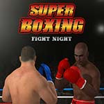 Super Boxing Fight Night