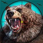 Wild Bear Hunting